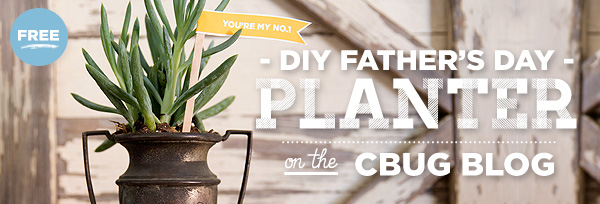 Diy Father S Day Succulent Planter Creativebug Blog