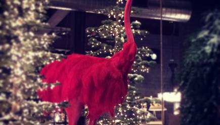 red ostrich