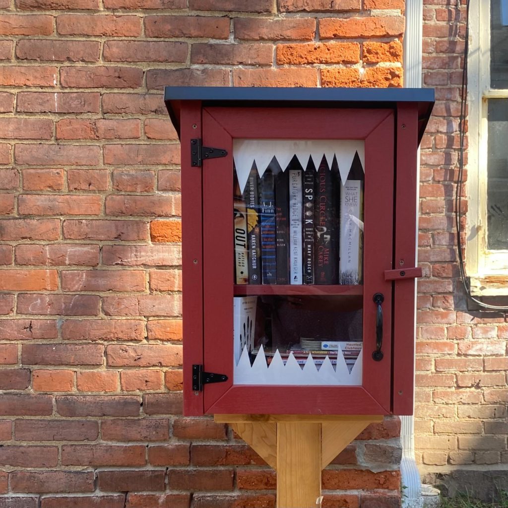 A small free library in front of a sun y brick wall. The library has spooky novels in it and is decorated with white pointy teeth.