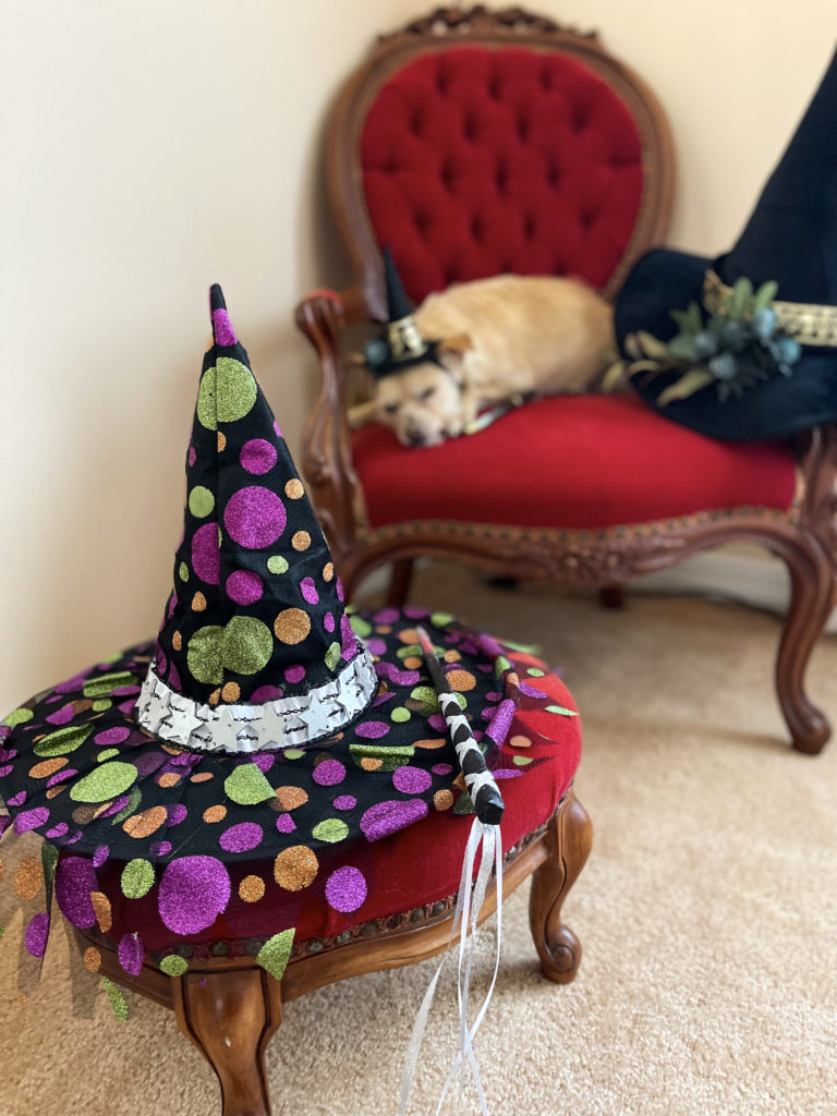 A multicolored witches hat and magic wand with a sleeping dog lying on a red chair in the background that is wearing a small witch hat