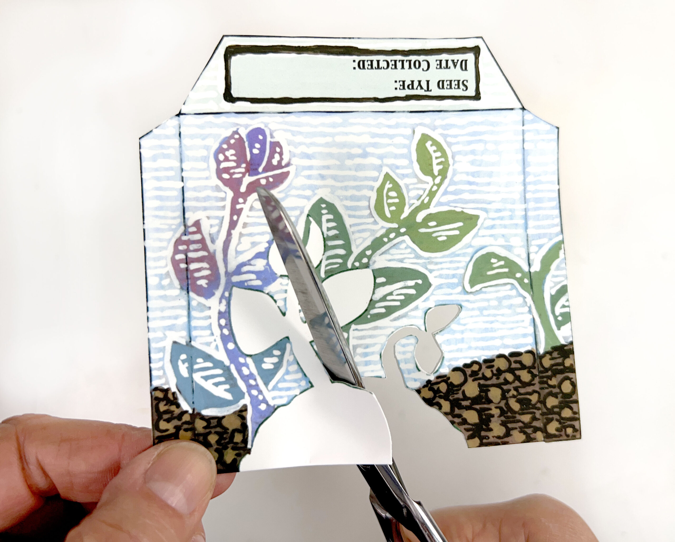 image of scissors cutting shapes out of a paper seed packet