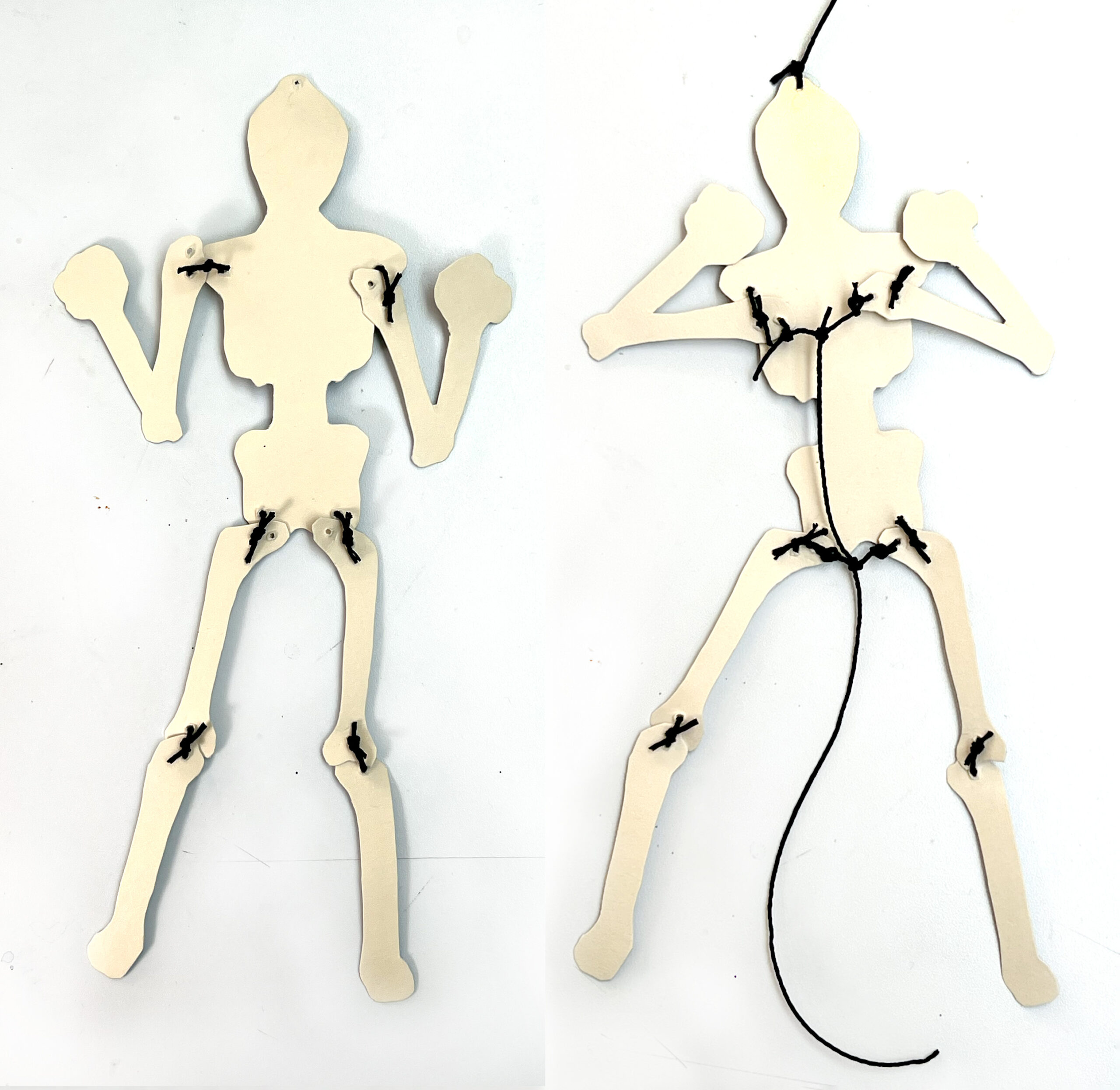image of how to make a paper skeleton puppet showing the back of the puppet and where to sew small pieces of thread at the skeleton joints