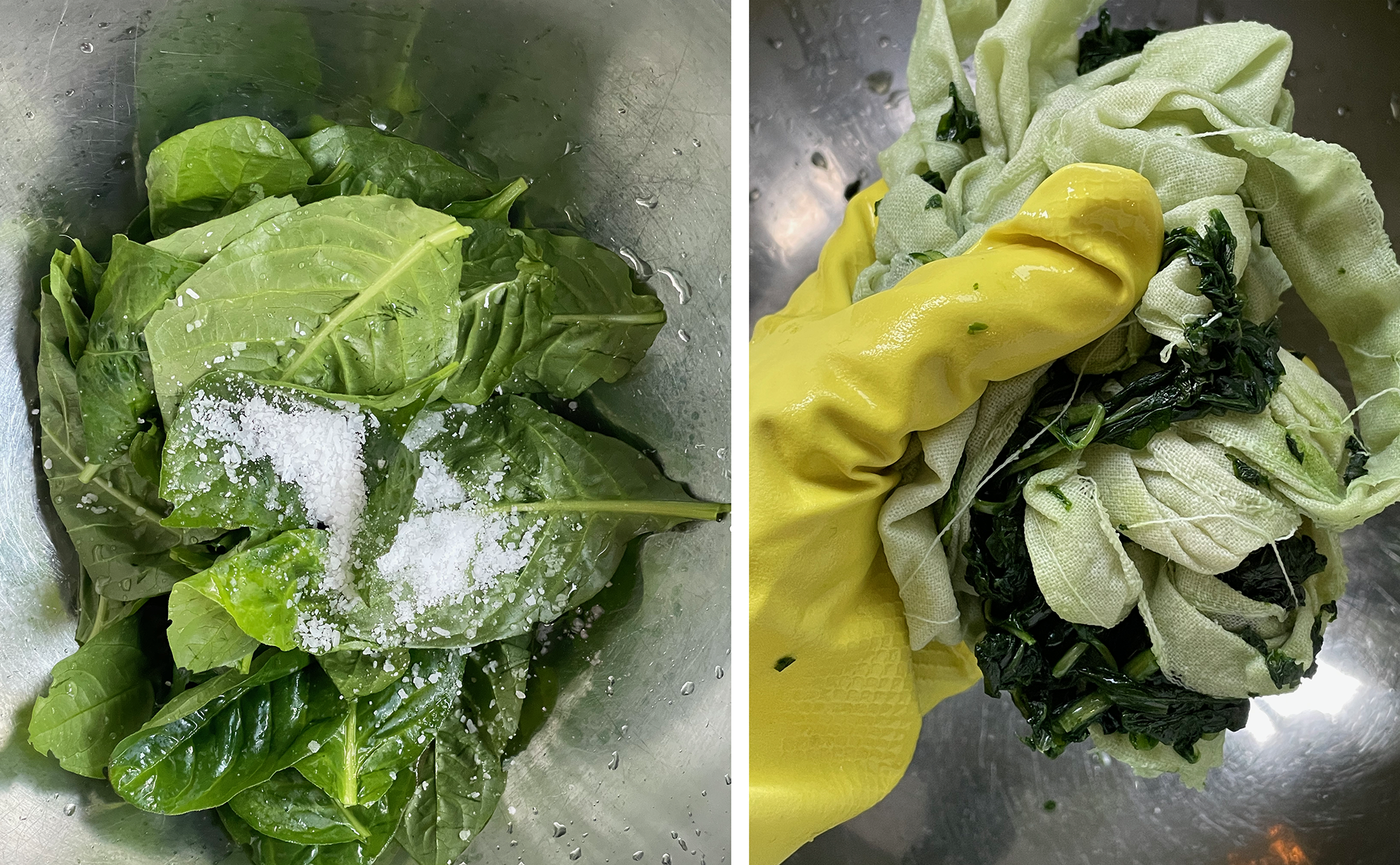 image of green leaves in a bowl with salt on them and a rubber-gloved hand rubbing salt into the leaves