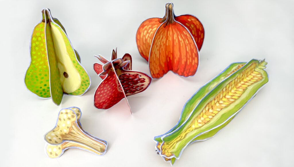 image of fall fruits and vegetables made of painted paper